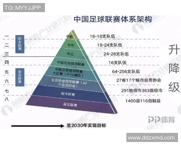 浙江足球崛起之路探索地方足球发展与青训体系建设的未来方向